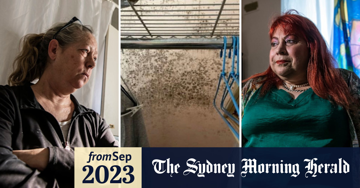 NSW public housing tenants complaints about black mould ignored